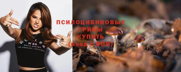 герыч Арсеньев