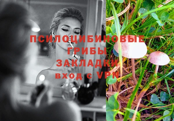 Альфа ПВП Аркадак
