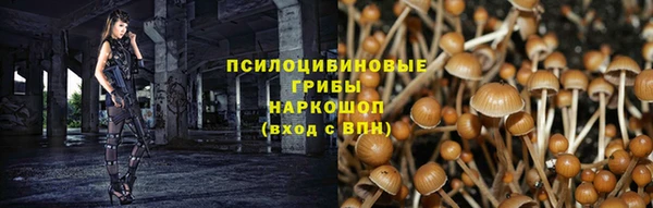 герыч Арсеньев