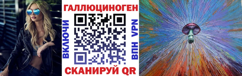 закладки  Магадан  Псилоцибиновые грибы GOLDEN TEACHER 
